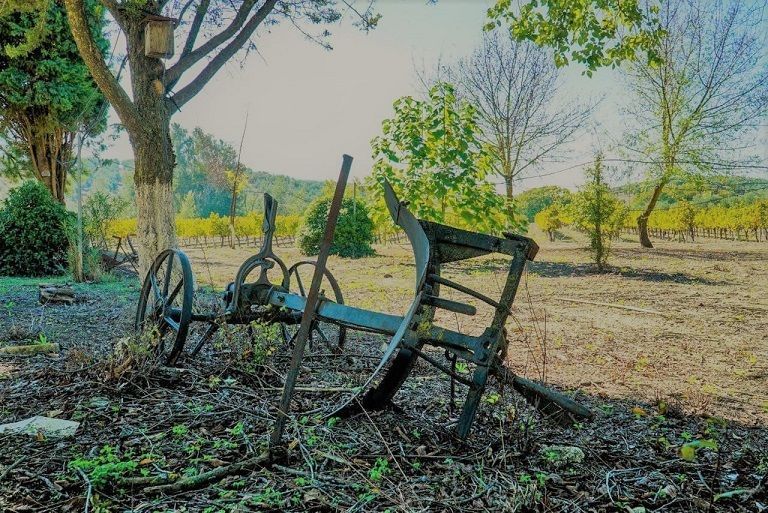 El campo andaluz- Cortijo Don Simón
